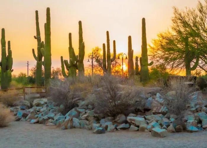 Staybridge - - East Mesa By Ihg Hotel Gilbert